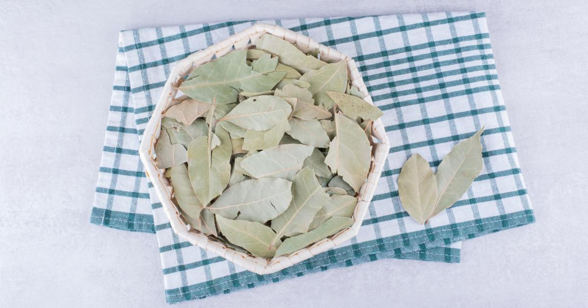 Ihmeellinen temppu laakerinlehdillä pesukoneessa: monien käyttämä kotivinkki ja miksi