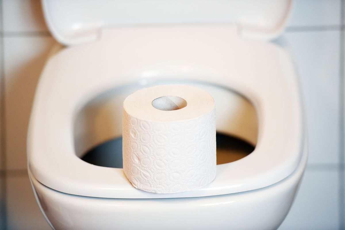 Onko parempi laittaa wc-paperia julkisen wc:n istuimelle vai kyykistyä? BBC:n vastaus