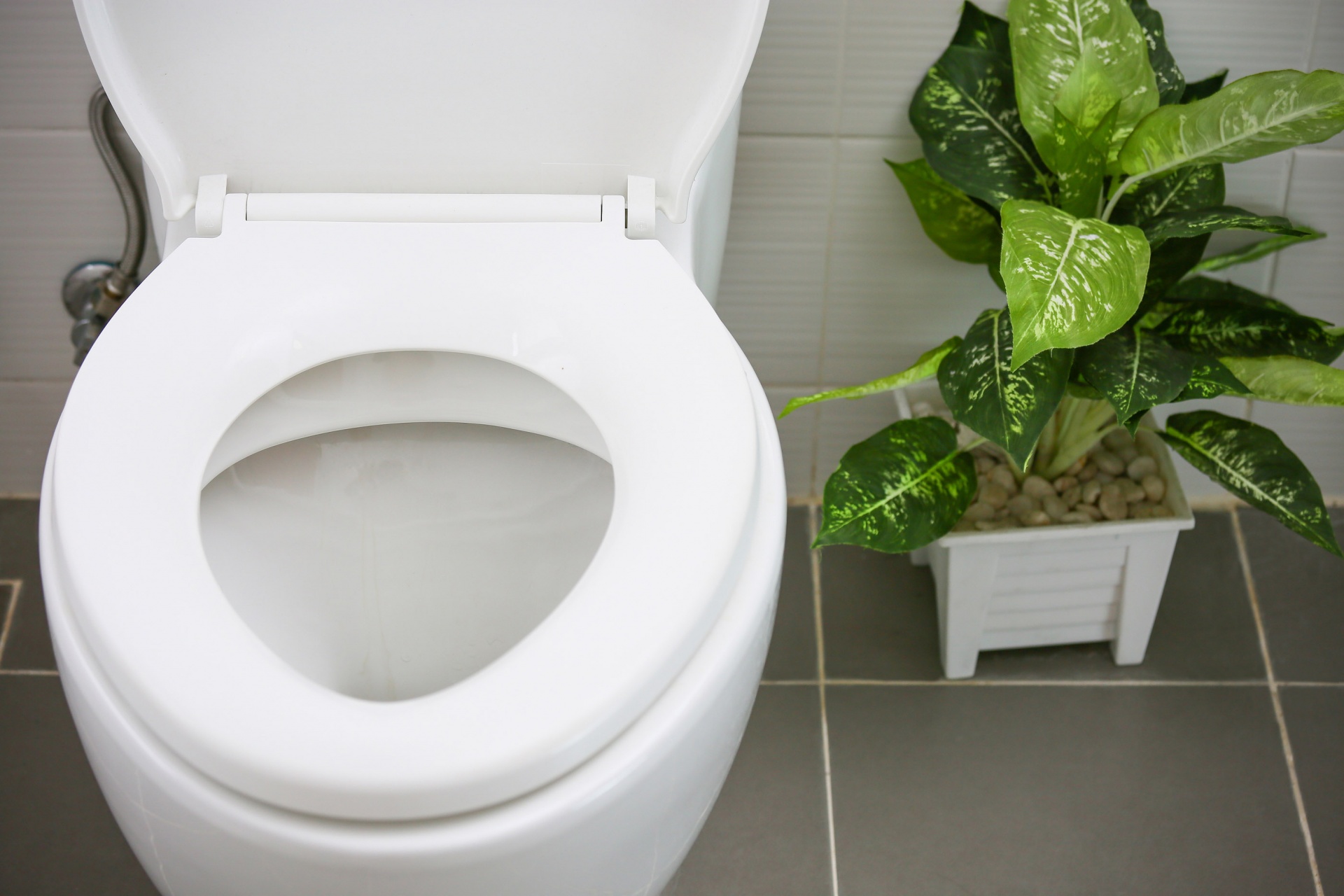 Kuinka eletään Japanissa: japanilaisten naisten hygienia, jonka ansiosta heidän wc:t ovat puhtaita, sellaisia kuin missään muualla maailmassa