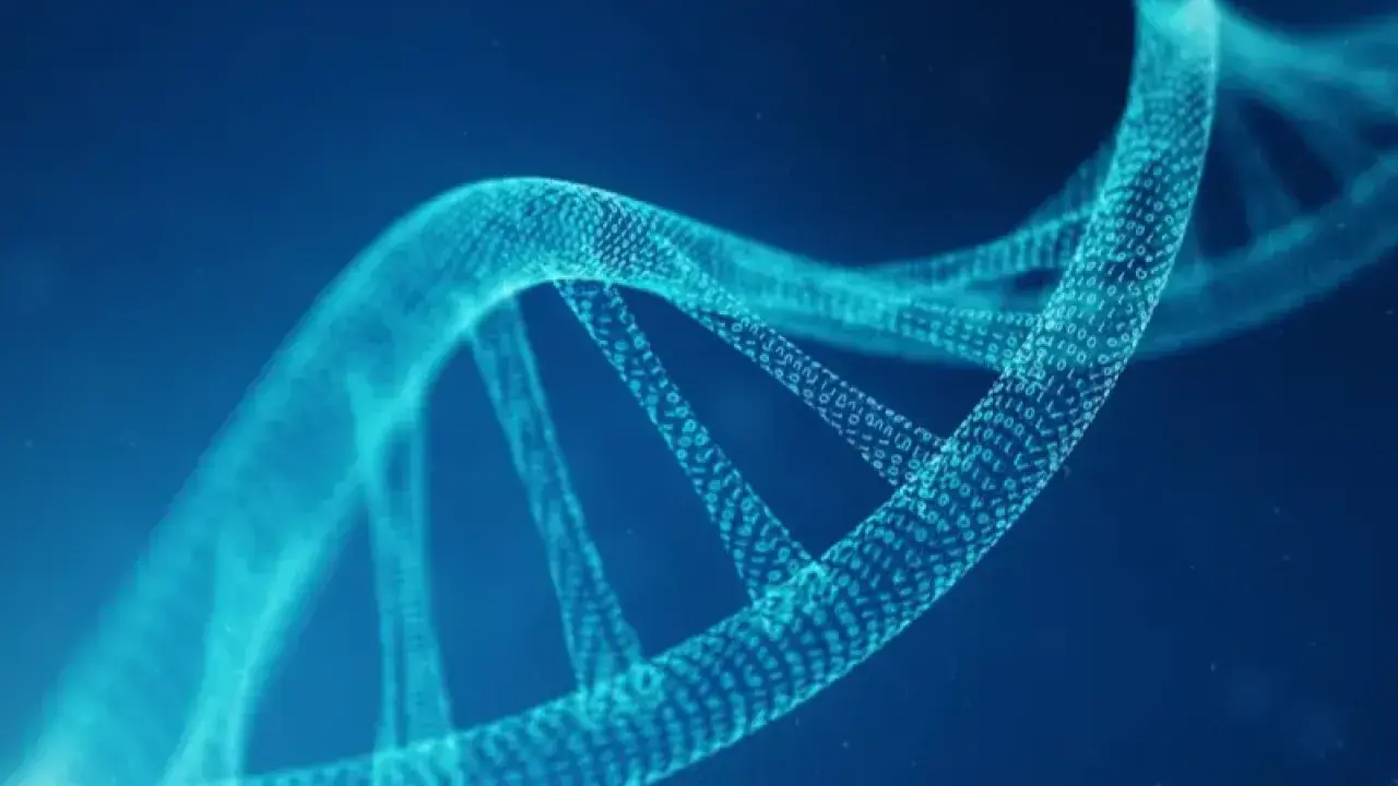 Uusi tekoälytyökalu valaisee ihmisen DNA:n ”pimeää puolta” ja paljastaa jotain arvokasta.