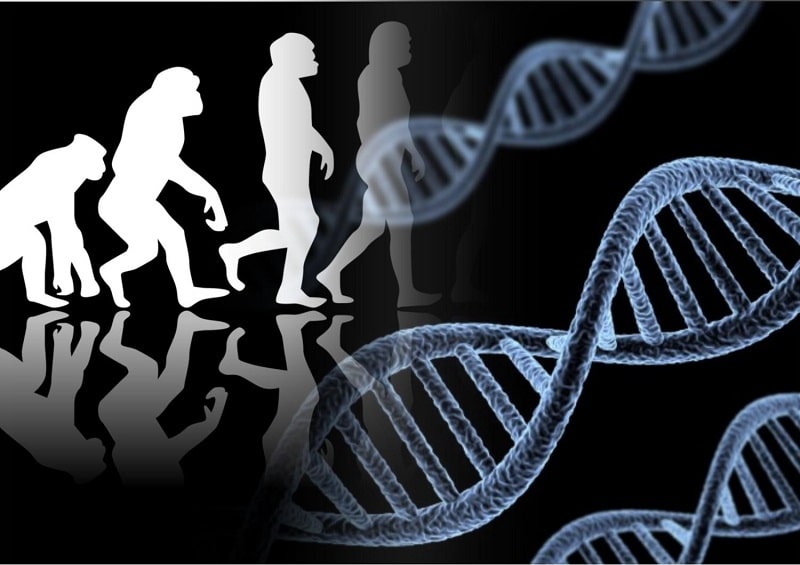 Tiedemiehet eivät voi uskoa sitä: He ovat dekoodanneet muinaisen egyptiläisen miehen DNA:n, ja alkuperä on järkyttänyt heitä.