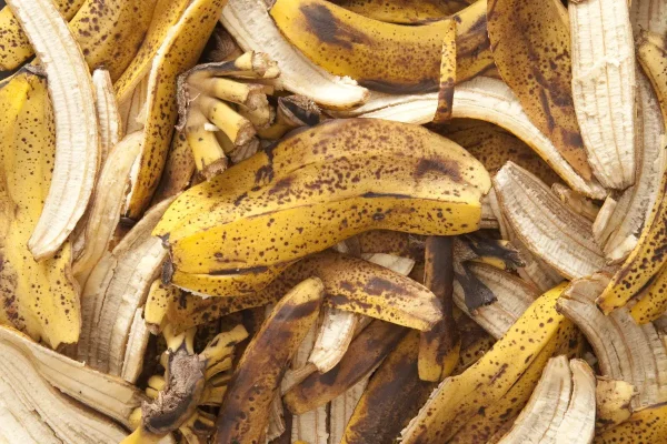 käytetään