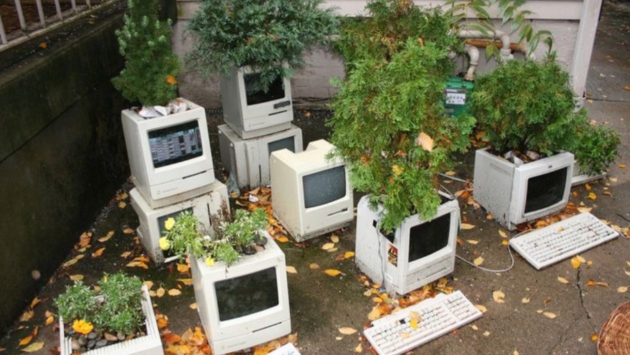 monitorisi