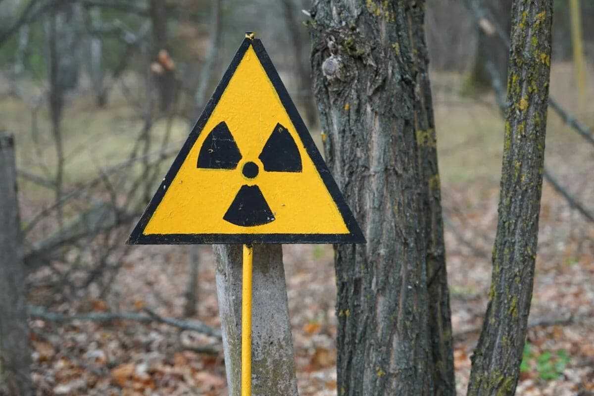 Tutkijat eivät voi uskoa silmiään: Tšernobylistä löydetty musta sieni, joka syö säteilyä
