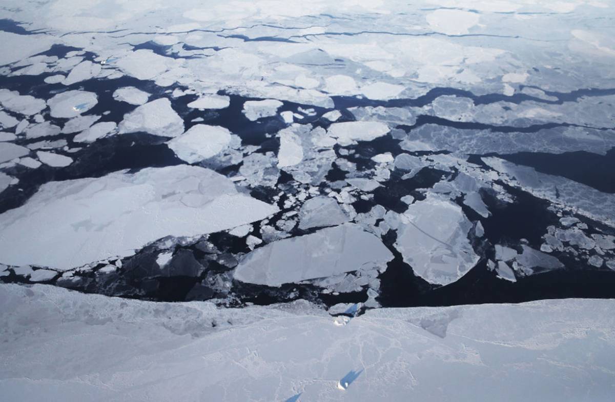 Grönlannissa on sulanut niin paljon jäätä, että plankton on kasvanut 40 %. Tämä on huono uutinen.