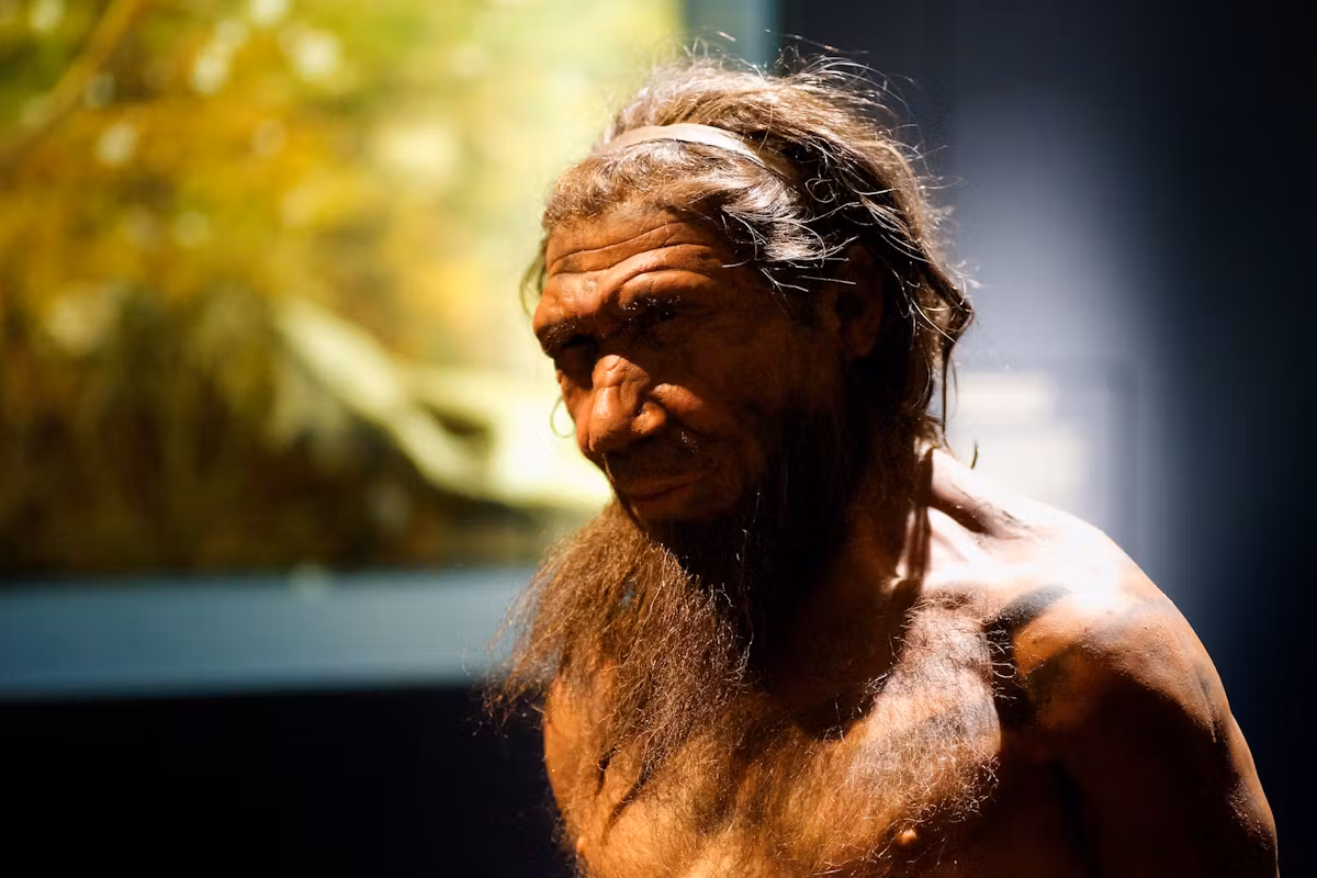 Löydetty vanhin todiste neandertalilaisten ja sapiensien risteymisestä: 140 000 vuotta sitten eläneen lapsen kallo