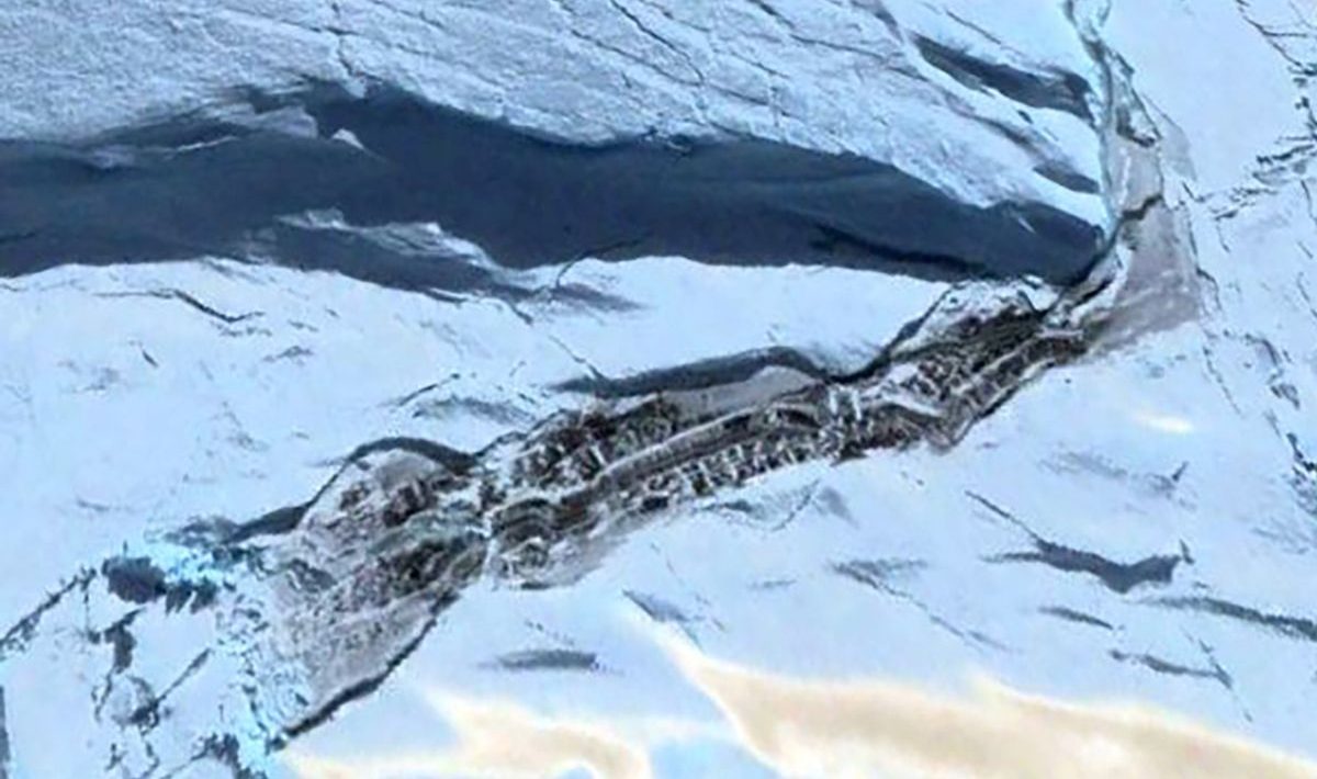 Tutkijat