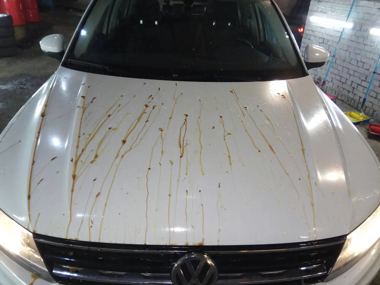 Ei saippualla eikä vedellä: helppo tapa puhdistaa autoon tarttunut puuhartsi jälkiä jättämättä.