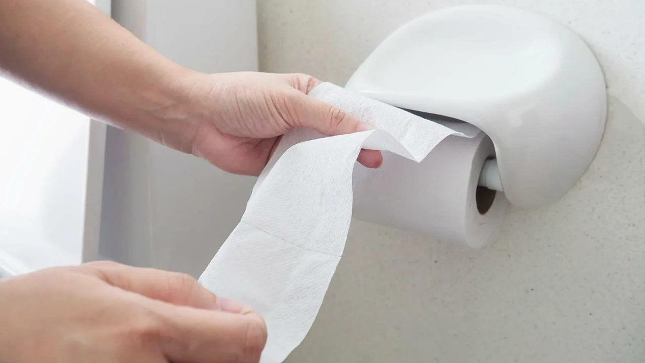 ”Älykkäät” wc-istuimet ovat saamassa suosiota Euroopassa, mikä on saattanut wc-paperin horjumaan.