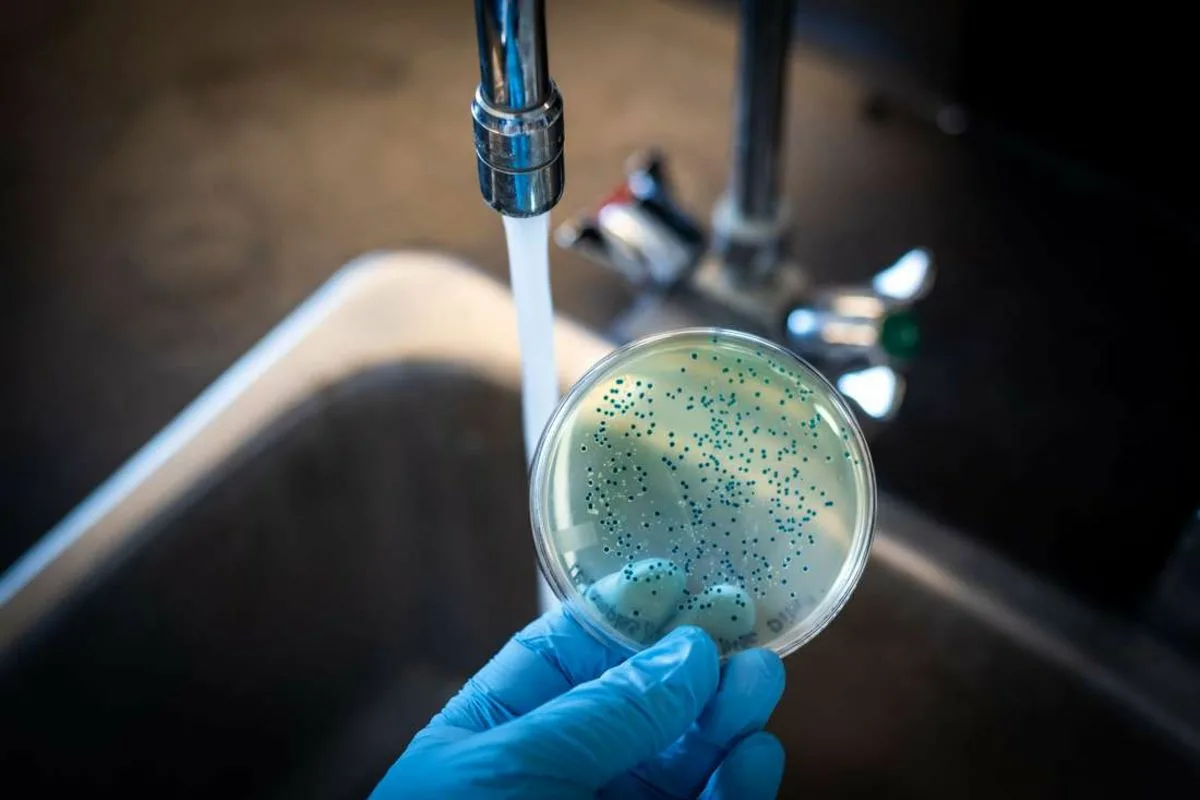 Kiinalaisten tutkijoiden mukaan on olemassa erittäin yksinkertainen tapa poistaa 90 % mikroplastista vesijohtovedestä.