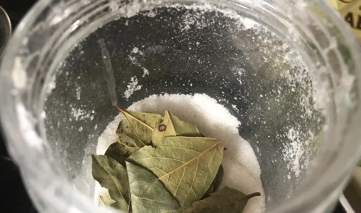 Tuntematon