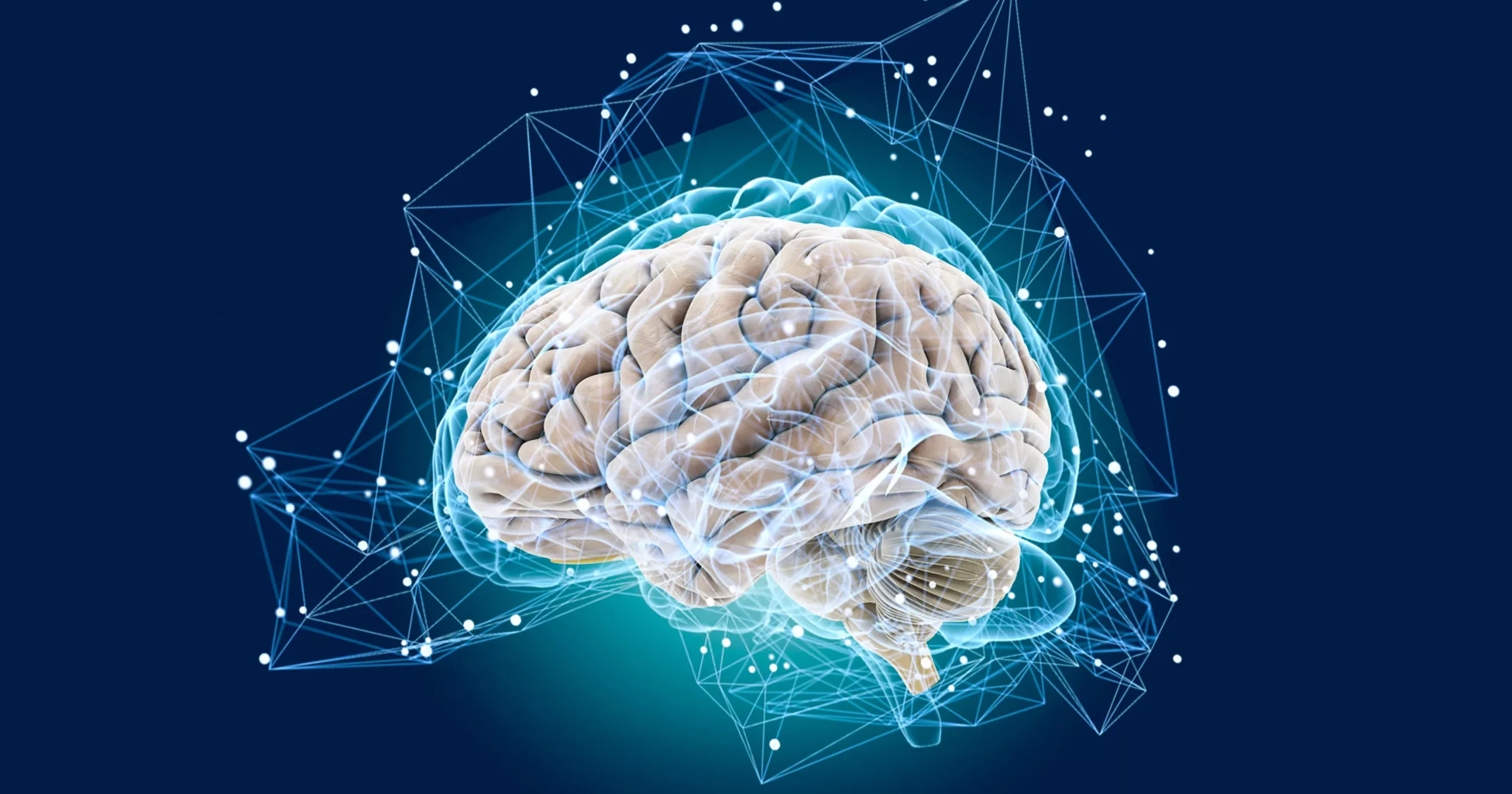 Neurobiologia esittelee kuusi strategiaa päivittäisen muistin vahvistamiseksi