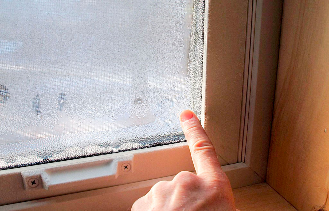 Se ei ole taikuutta: 4 yksinkertaista ja tehokasta tapaa vähentää kosteutta huoneessa asiantuntijoiden mukaan