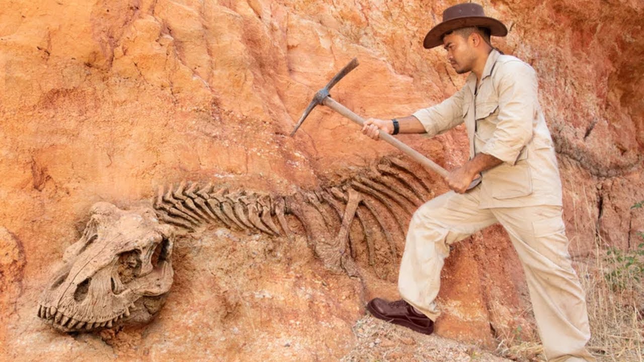 Vuosisadan arkeologinen löytö: aiemmin tuntemattoman dinosauruksen fossiilin löytäminen pakottaa meidät kirjoittamaan evoluution historian uusiksi.