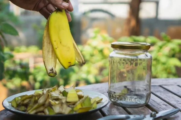 Banaaninkuori