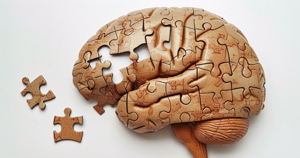 Neurobiologia esittelee kuusi strategiaa päivittäisen muistin vahvistamiseksi