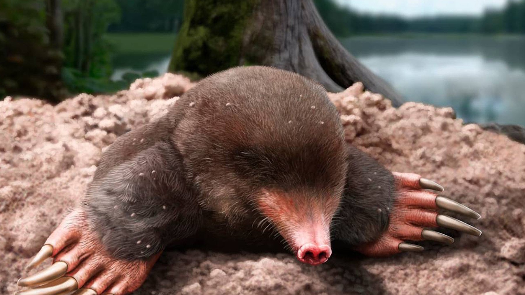 Tutkijat eivät voi uskoa: Gironassa on löydetty tuntemattoman mullon myyrä fossiili, joka mullistaa evoluutioteorian.