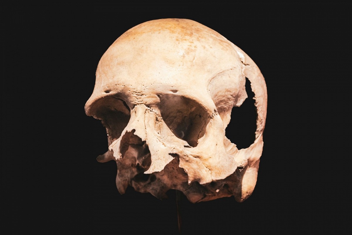 300 000 vuotta vanha kallo muutti historian: se ei ollut ihmisen eikä neandertalilaisen.