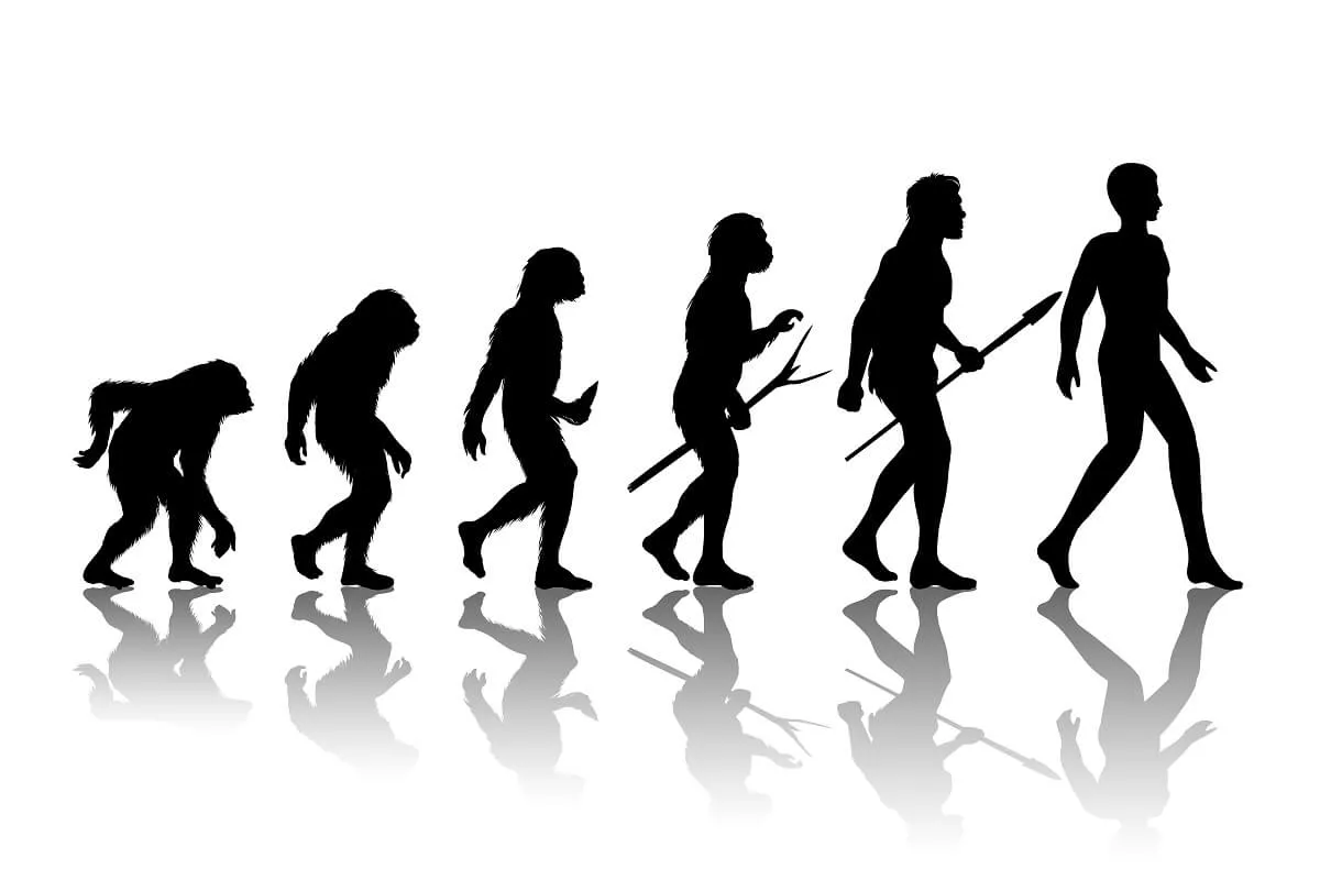 Entä jos ihmisen evoluutio ei olekaan sellaista kuin luulemme?
